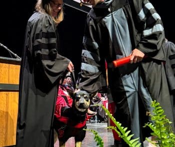 Inspiring Journey of Resilience and Love as Rescue Dog Makes Heartwarming Graduation Appearance at Iowa State University