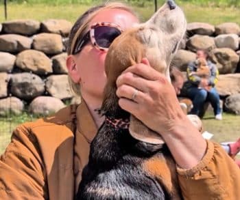 Senior Beagle Finds Freedom and Sunshine for the Very First Time After Years of Lab Confinement