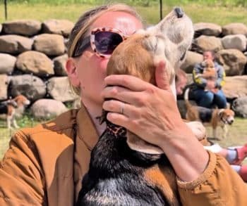 Senior Beagle Finds Freedom and Sunshine for the Very First Time After Years of Lab Confinement