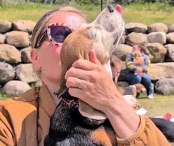 Senior Beagle Finds Freedom and Sunshine for the Very First Time After Years of Lab Confinement