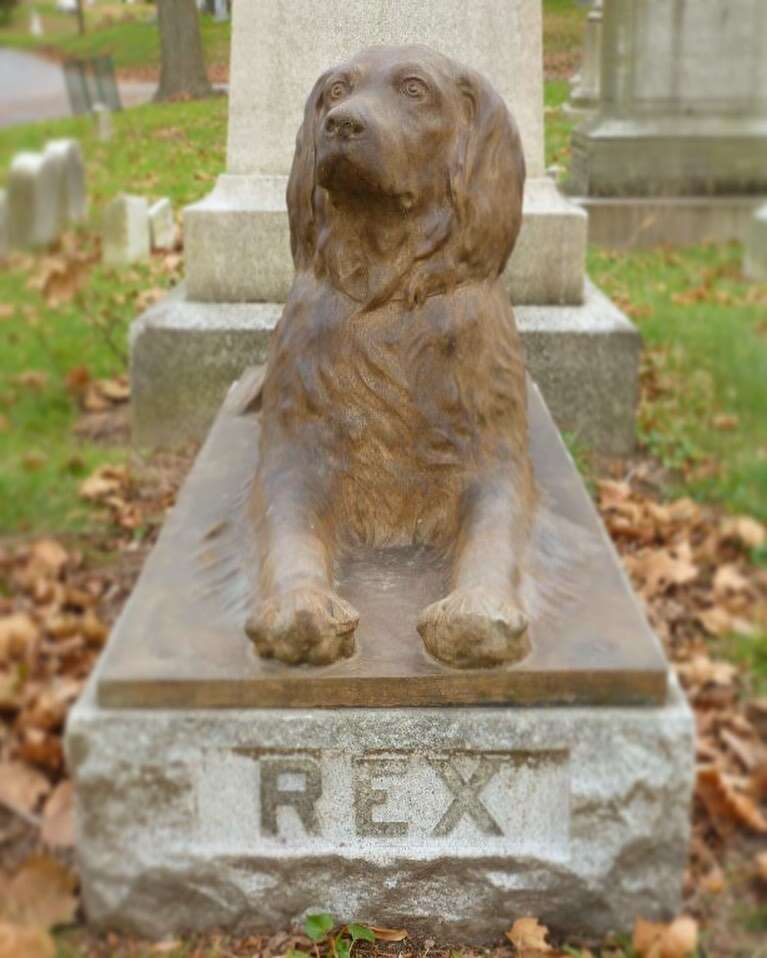 The Heartwarming Story Behind the Sticks Left for Rex the Beloved Dog at a Historic Brooklyn Cemetery