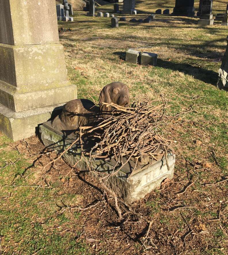 The Heartwarming Story Behind the Sticks Left for Rex the Beloved Dog at a Historic Brooklyn Cemetery