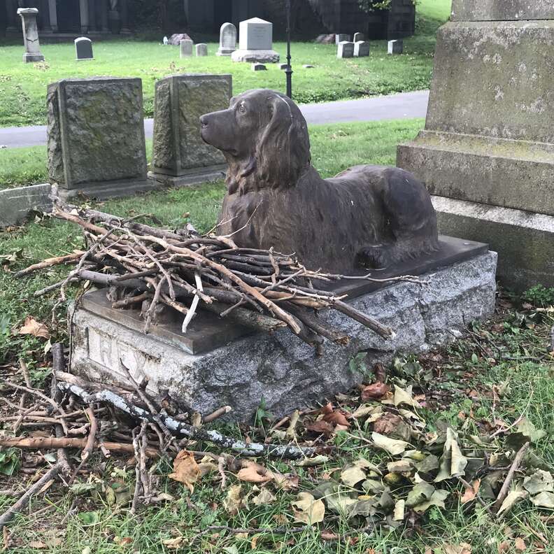 The Heartwarming Story Behind the Sticks Left for Rex the Beloved Dog at a Historic Brooklyn Cemetery