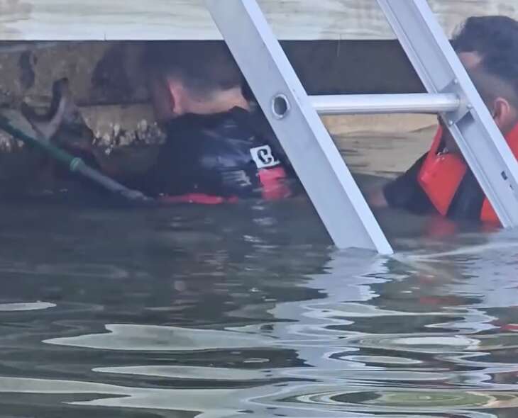 A Heartwarming Rescue Story of Firefighters Saving an Unexpected Coyote From Drowning in Florida Lake