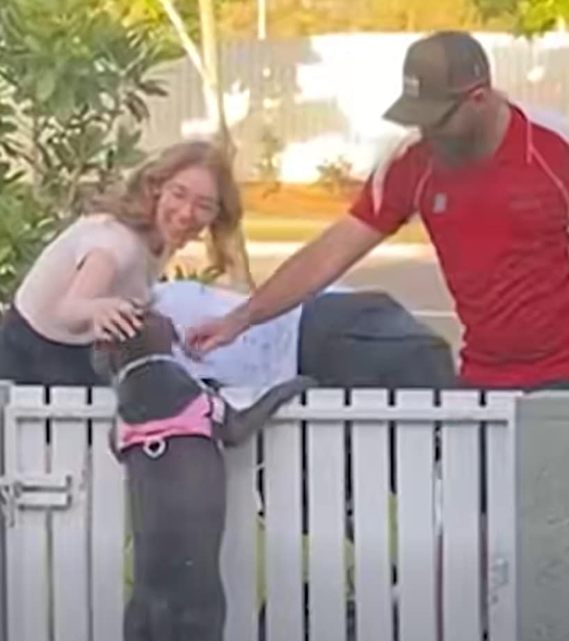 A Heartwarming Tale of a Dog Named Tubs Who Fills the Neighborhood with Joy Every Afternoon