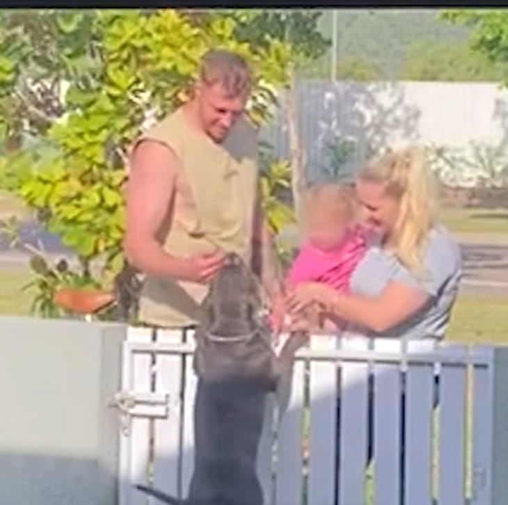 A Heartwarming Tale of a Dog Named Tubs Who Fills the Neighborhood with Joy Every Afternoon