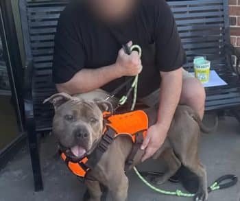 Abandoned Dog Found Trapped in Dark Basement Escapes to a Life of Love and Happiness
