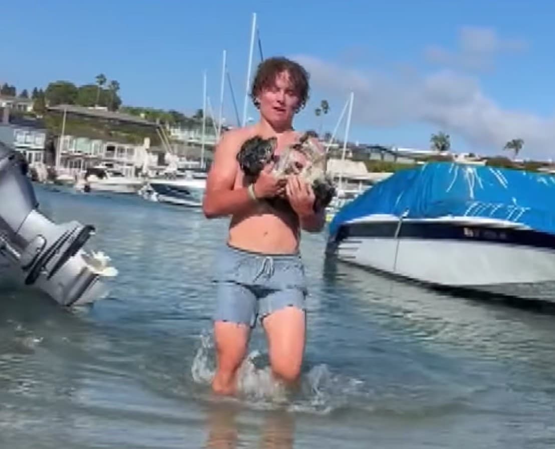 Bravery at the Beach: How One Teenager's Quick Action Saved a Frightened Dog from Drowning