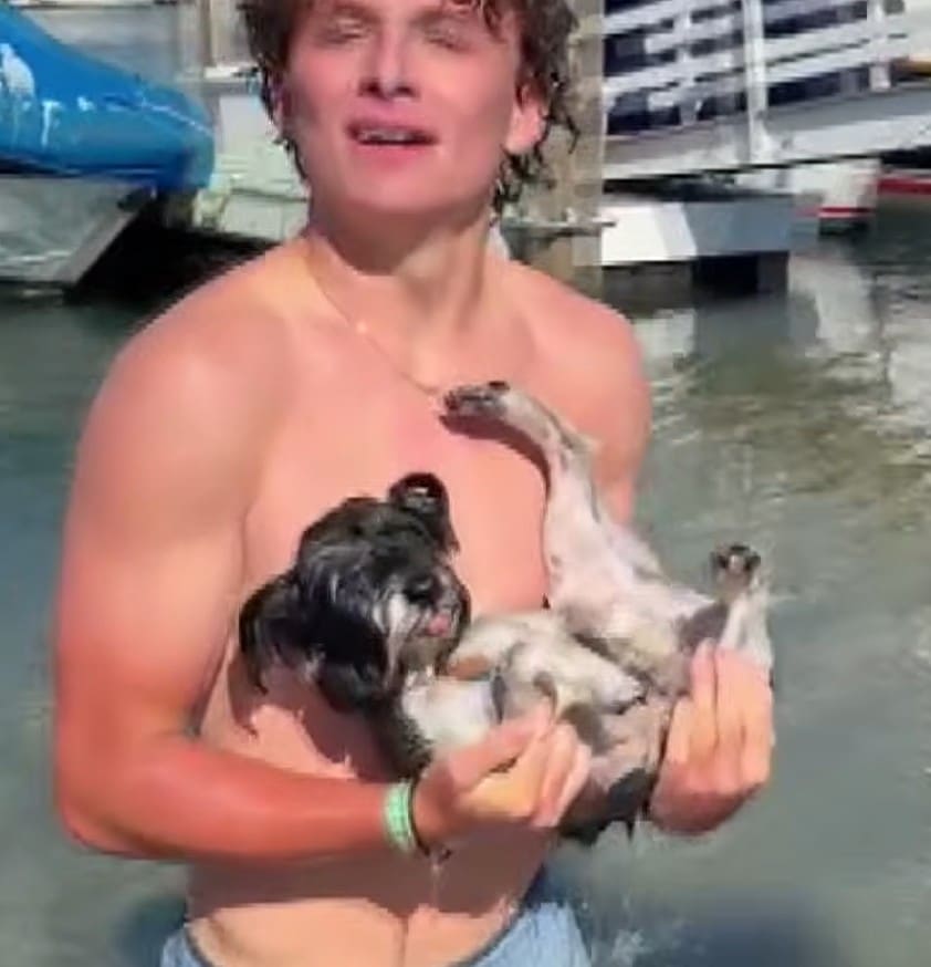 Bravery at the Beach: How One Teenager's Quick Action Saved a Frightened Dog from Drowning
