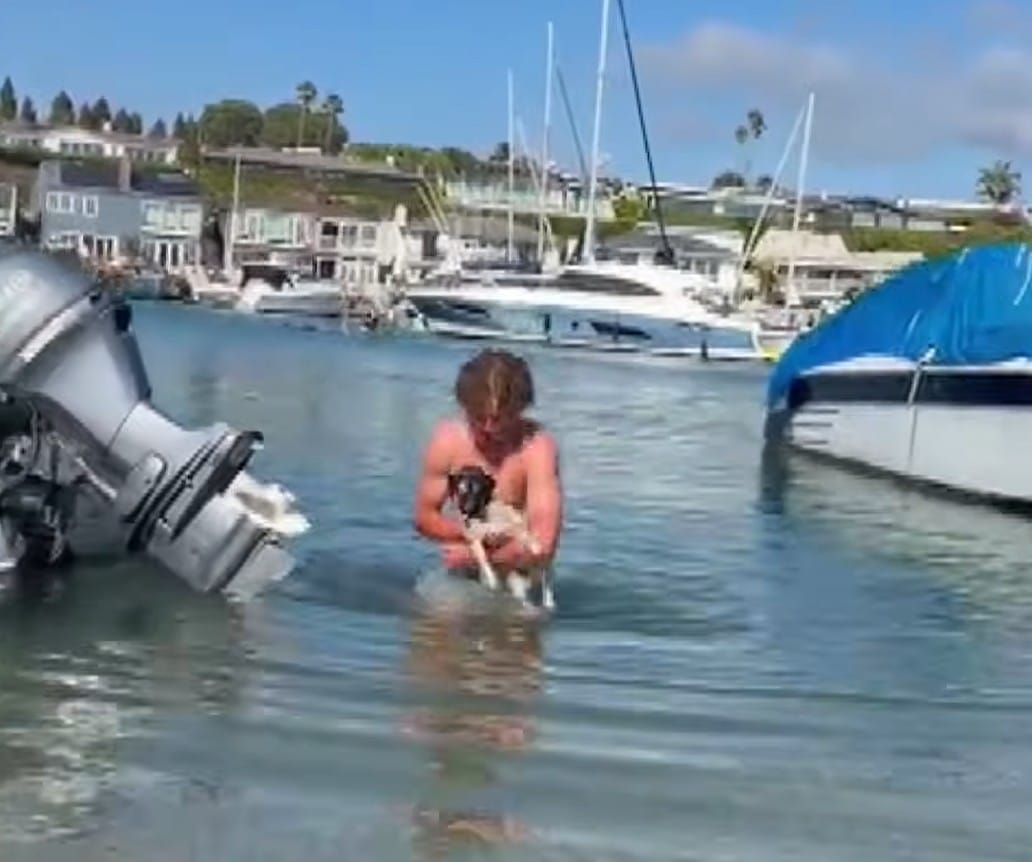 Bravery at the Beach: How One Teenager's Quick Action Saved a Frightened Dog from Drowning