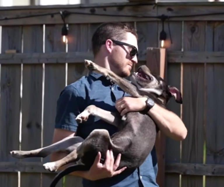 Compassion Transforms a Tragic Rescue Into a Heartwarming Journey of Hope for Abandoned Puppy