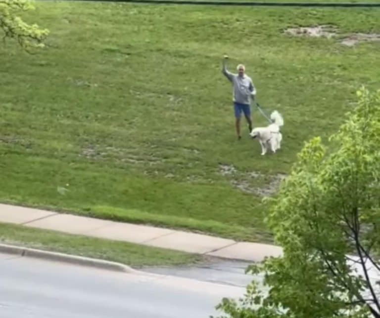 Heartwarming Reunion of a New Mother and Her Loyal Dog During Labor Brings Unforgettable Joy