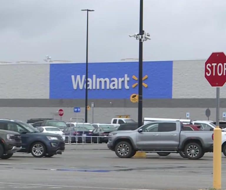 Heartwarming Reunion of Abandoned Puppies and Their Devoted Mother After a Desperate Rescue in Walmart Parking Lot