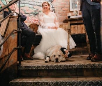 Heartwarming Wedding Celebration Featuring a Rescue Dog as the Beloved Groomsman Captures the Essence of Family Love