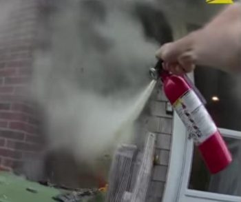 Heroic Police Officer Bravely Rescues Puppy From Fiery Flames in Heartwarming Act of Courage