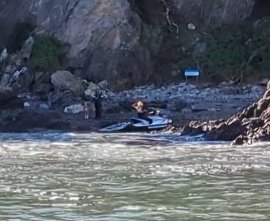 Tense Rescue Mission as Volunteers Race to Save Dog Swept Into the Ocean Amid Community Support