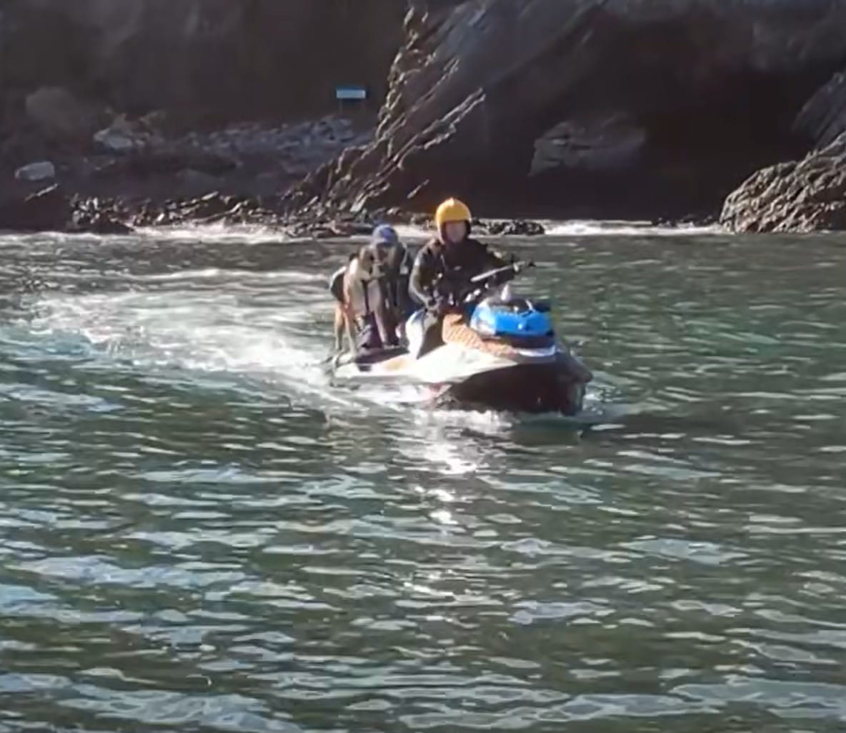 Tense Rescue Mission as Volunteers Race to Save Dog Swept Into the Ocean Amid Community Support