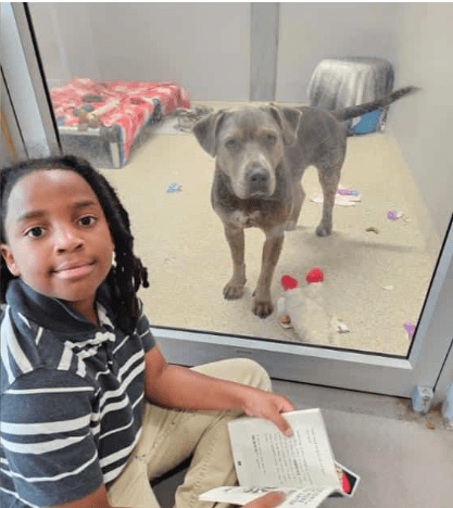 Eleven-Year-Old Inspires with 100 Hours of Heartwarming Reading to Shelter Dogs for a Beautiful Cause