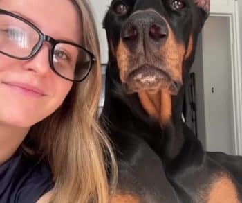 From Fear to Freedom Nyx the Shelter Dog's Incredible Journey of Healing and Love