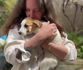 From the Brink of Death to a Joyful Life: The Inspiring Journey of Dodo the Puppy