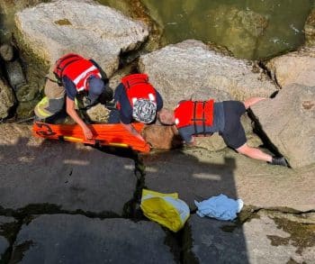 Heartwarming Rescue Story of a Beloved Dog Named Sugar Found After a Rollover Crash Thanks to Kids and Brave Responders