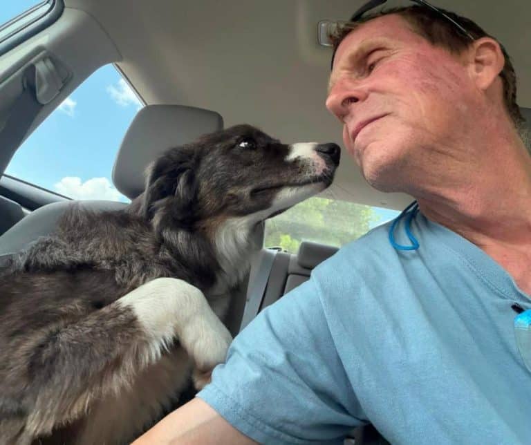 Heartwarming Reunion of Mabel the Border Collie and Her Devoted Owner After a Heart-Wrenching Search Underscored by Community Support