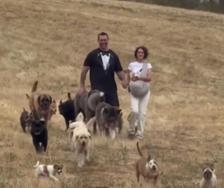 Lee Asher and Sara Moore Say I Do to Love and Rescue with Their Beloved Dogs