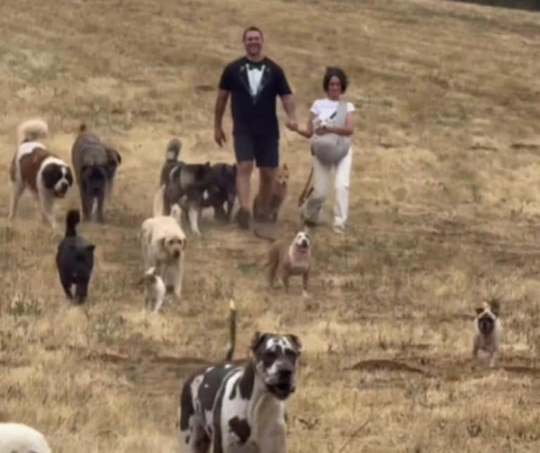 Lee Asher and Sara Moore Say I Do to Love and Rescue with Their Beloved Dogs