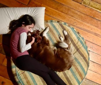 Mike Wolfe's Heartfelt Tribute to His Beloved Dog Francie Joe After a Devastating Loss That Left Him Shattered