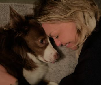 Mike Wolfe's Heartfelt Tribute to His Beloved Dog Francie Joe After a Devastating Loss That Left Him Shattered