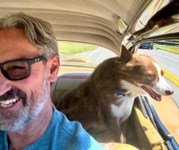 Mike Wolfe's Heartfelt Tribute to His Beloved Dog Francie Joe After a Devastating Loss That Left Him Shattered