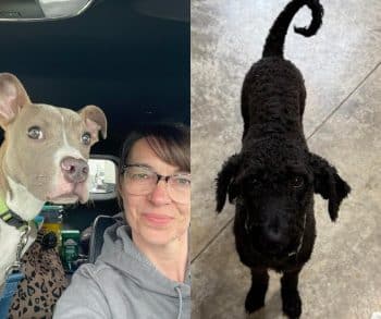 Two Severely Neglected Dogs Overcome Suffering Through the Unwavering Kindness of Their Community